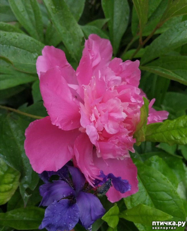 ���� 2: ��� �������� ����������!