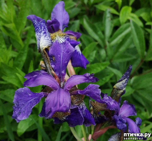 ���� 4: ��� �������� ����������!