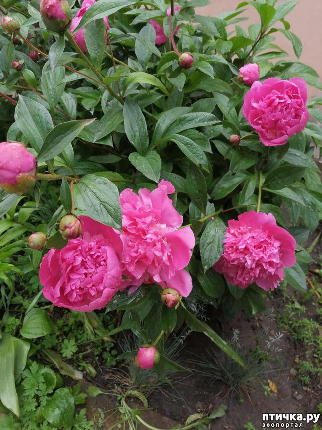 ���� 5: ��� �������� ����������!