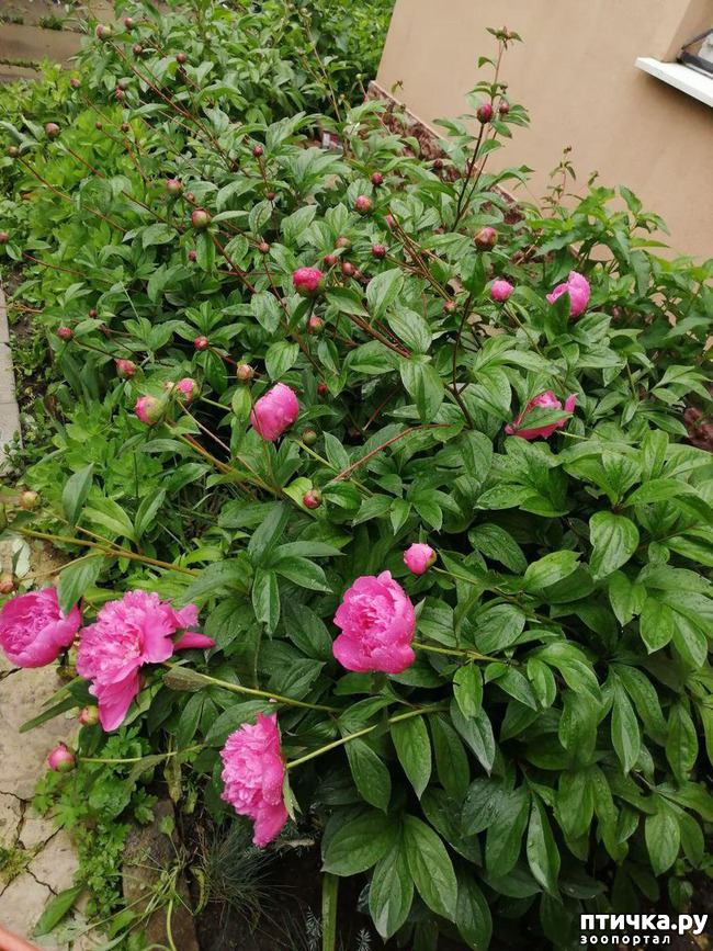 ���� 6: ��� �������� ����������!