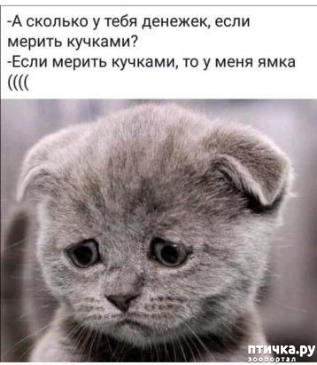  29: . (    !)