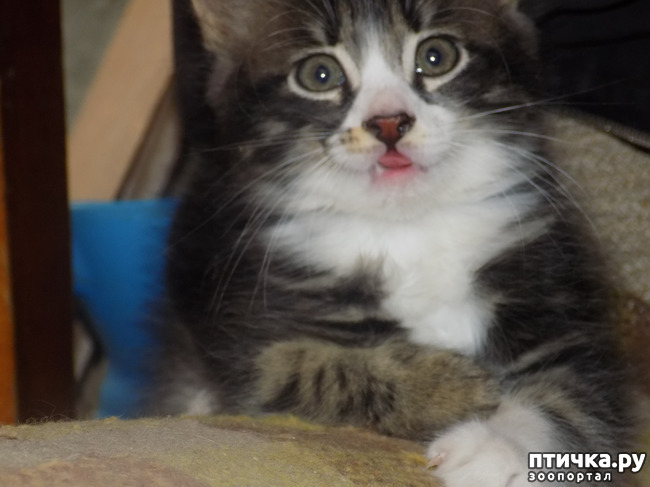 ���� 7: ��� ��� ������ ���������?