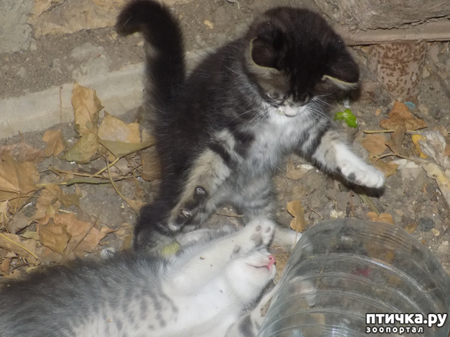 ���� 8: ��� ��� ������ ���������?