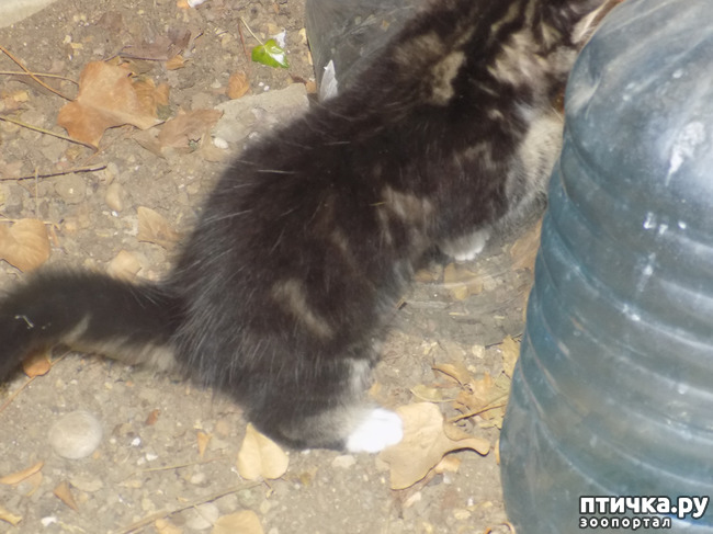 ���� 9: ��� ��� ������ ���������?