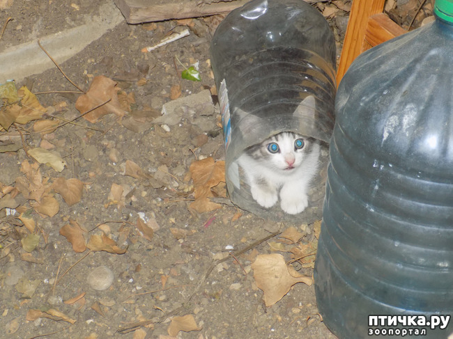 ���� 10: ��� ��� ������ ���������?