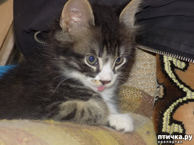 ���� 5: ��� ��� ������ ���������?