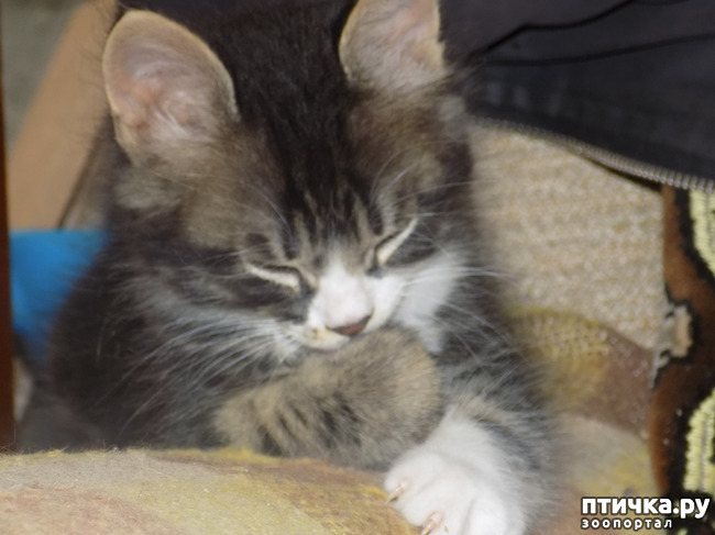 ���� 6: ��� ��� ������ ���������?