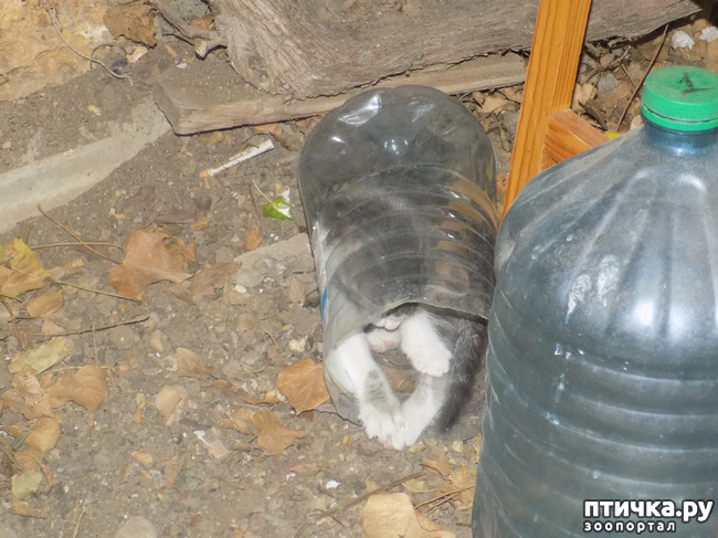 ���� 12: ��� ��� ������ ���������?