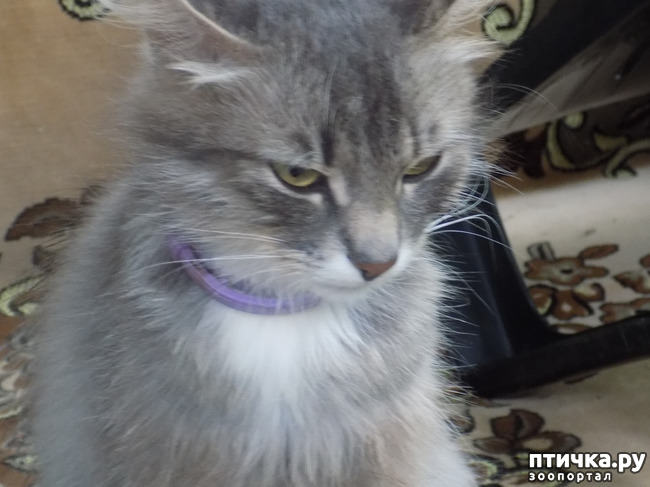 ���� 13: ��� ��� ������ ���������?