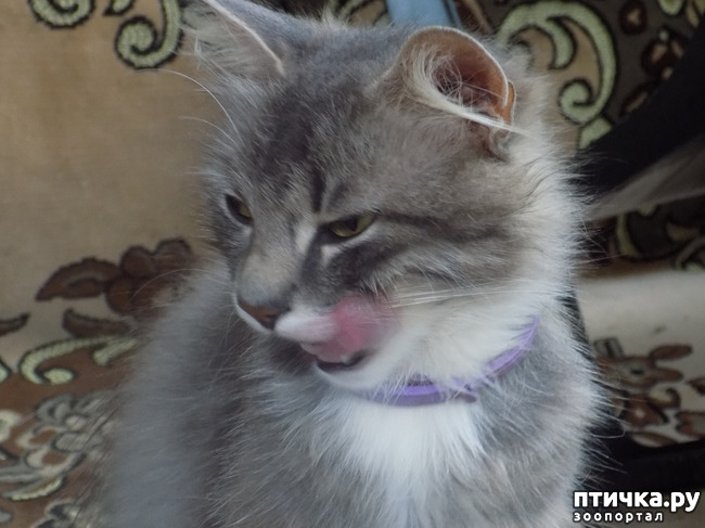 ���� 14: ��� ��� ������ ���������?