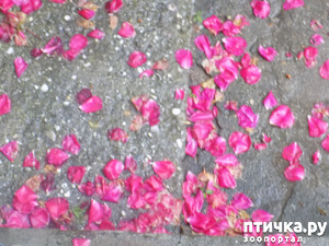 ����: ��� ��� ������ ���������?