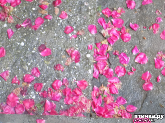 ���� 1: ��� ��� ������ ���������?