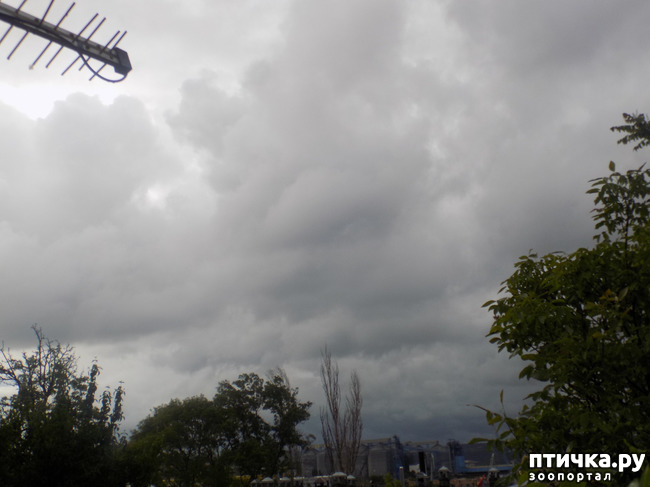 ���� 2: ��� ��� ������ ���������?