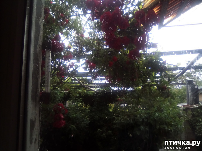 ���� 3: ��� ��� ������ ���������?