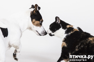 ����: � ���, ��� ������� ������ �������� ��������.