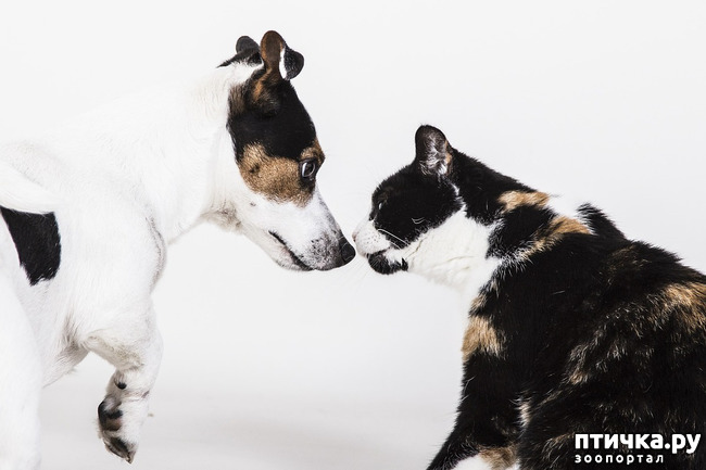 ���� 1: � ���, ��� ������� ������ �������� ��������.