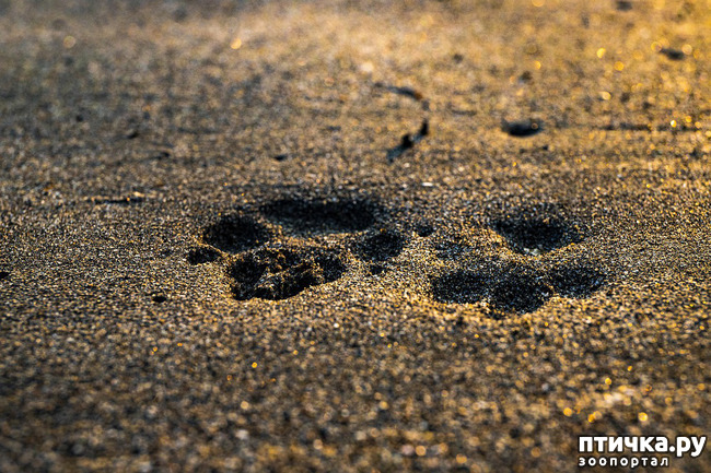 ���� 3: � ���, ��� ������� ������ �������� ��������.