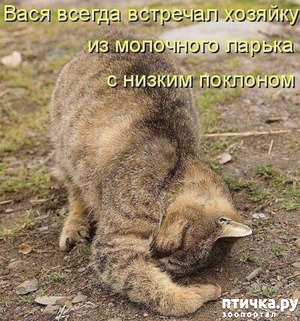 фотография: Немного юмора фото: Немного юмора