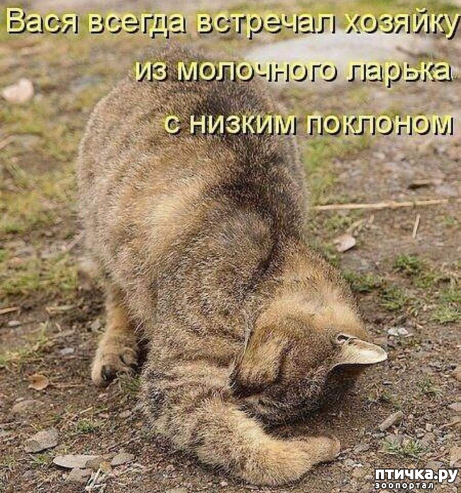 ���� 1: ������� �����