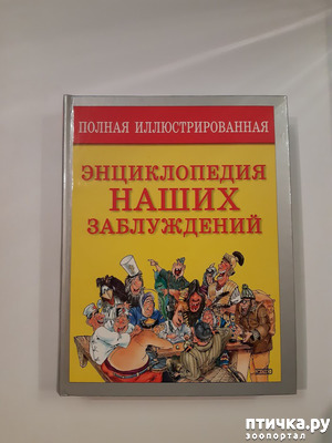 ����: ������������ ����