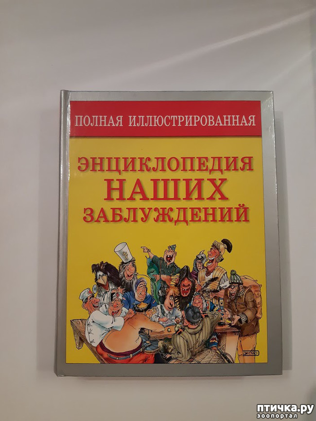 ���� 1: ������������ ����