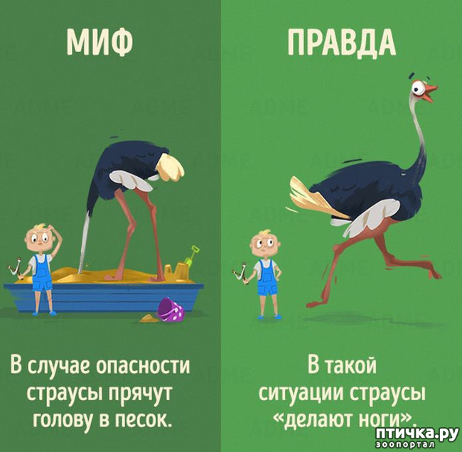 ���� 2: ������������ ����