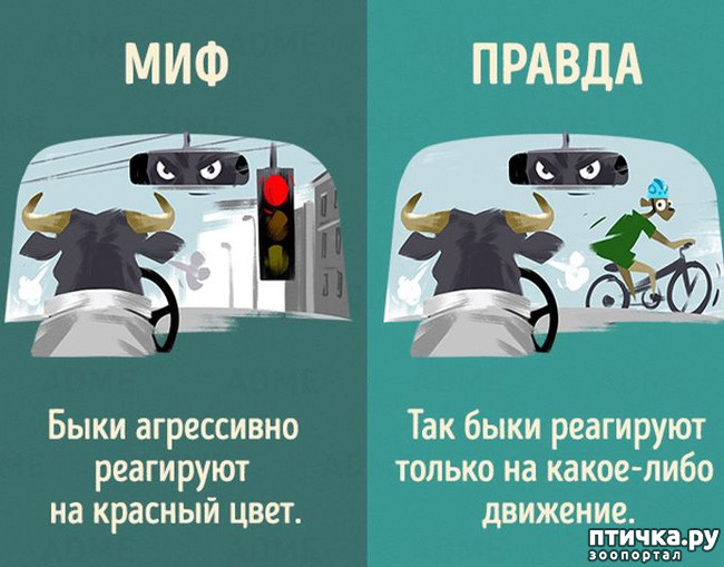 ���� 3: ������������ ����