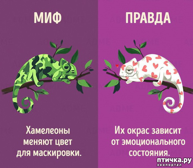 ���� 4: ������������ ����