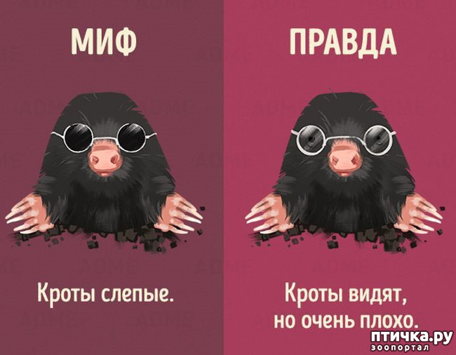 ���� 5: ������������ ����