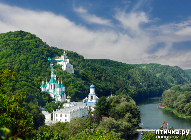 ���� 2: ��� ������� � �������� ������