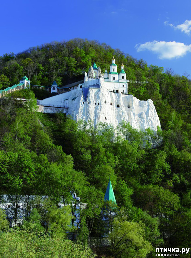 ���� 3: ��� ������� � �������� ������