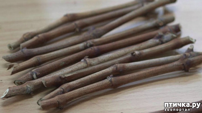 ���� 6: ��� ������� � �������� ������