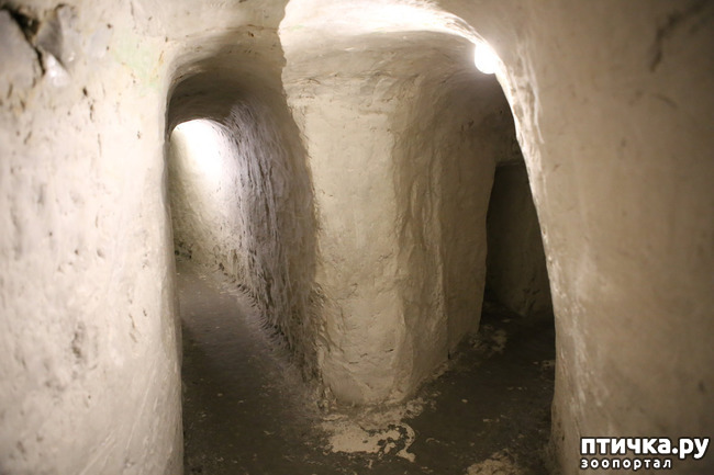 ���� 4: ��� ������� � �������� ������