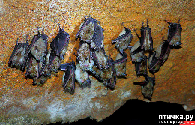 ���� 8: ��� ������� � �������� ������