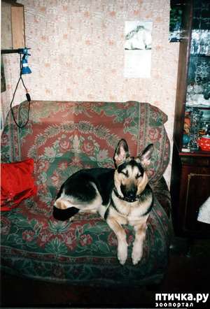 ����: ����� �� ��������