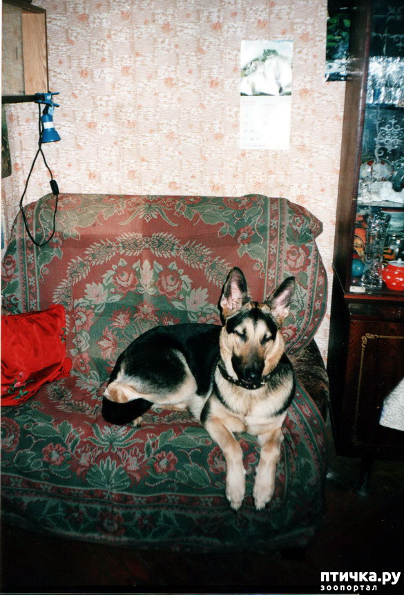 ���� 1: ����� �� ��������