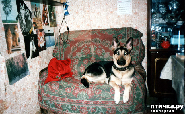 ���� 2: ����� �� ��������