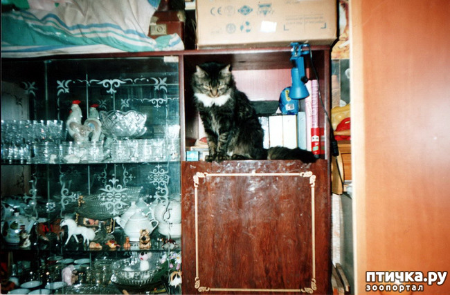 ���� 3: ����� �� ��������