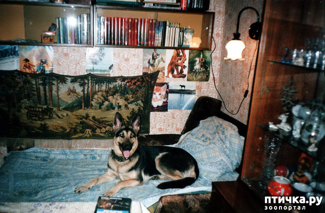 ���� 4: ����� �� ��������