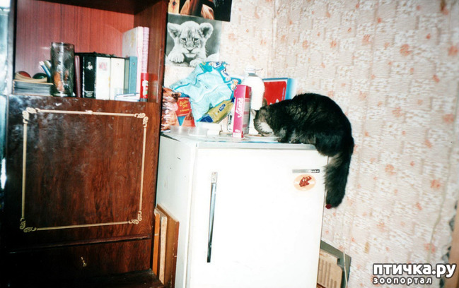 ���� 5: ����� �� ��������