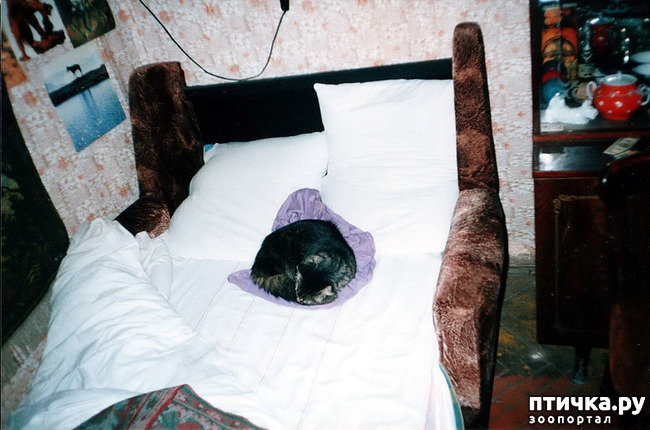 ���� 11: ����� �� ��������