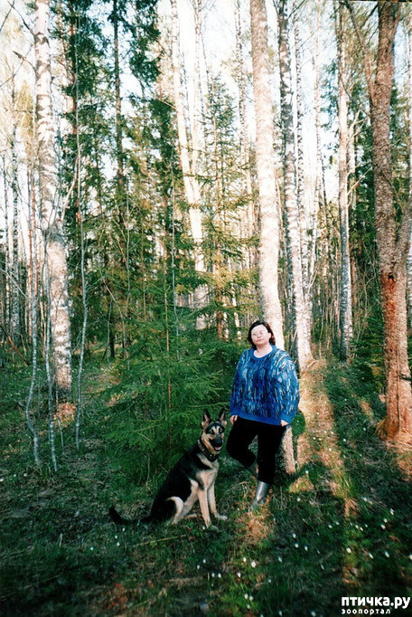 ���� 9: ����� �� ��������