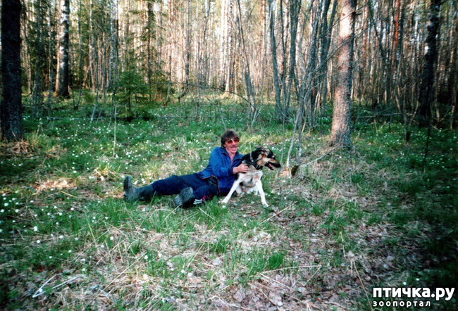 ���� 6: ����� �� ��������