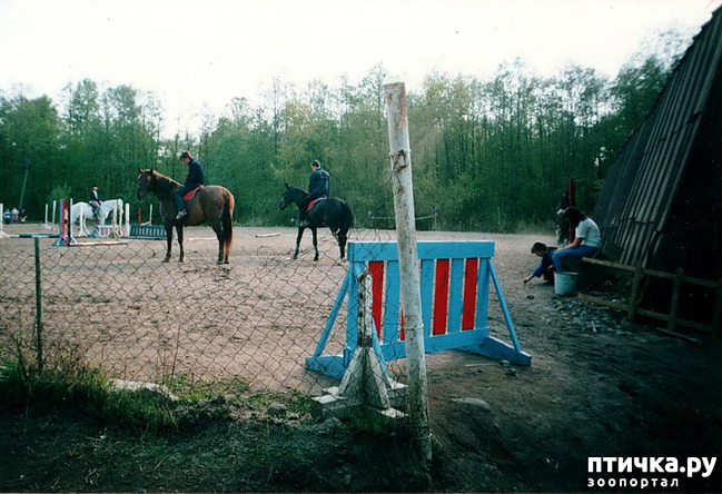 ���� 10: ����� �� ��������