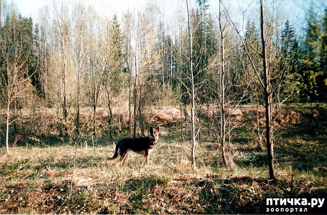 ���� 7: ����� �� ��������