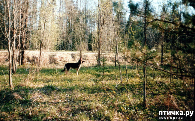 ���� 8: ����� �� ��������