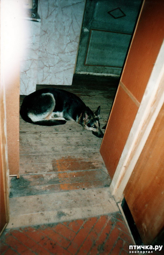 ���� 12: ����� �� ��������