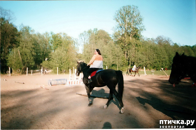 ���� 14: ����� �� ��������