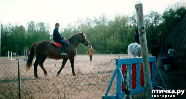 ���� 16: ����� �� ��������