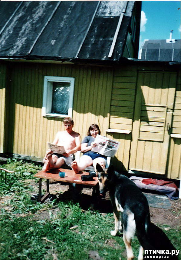 ���� 15: ����� �� ��������